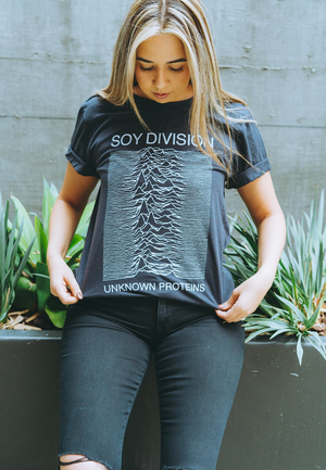 SOY DIVISION